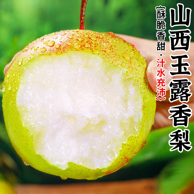 【酥脆香甜】山西玉露香梨3-8.5斤梨子雪梨新鲜水果皮薄多汁香梨