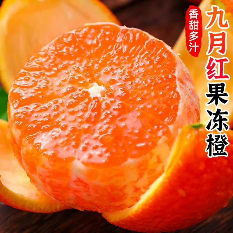 【香甜多汁】九月红果冻橙2-9斤橙子果冻橙手剥橙应季新鲜水果