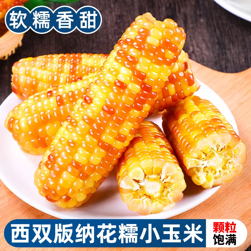 【软糯香甜】西双版纳小花糯玉米1-5斤小玉米棒真空即食代餐粗粮