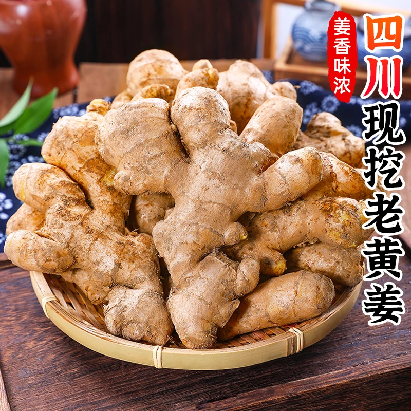 【姜香味浓】四川现挖老黄姜1-4斤生姜香辣大黄姜风干姜新鲜蔬菜
