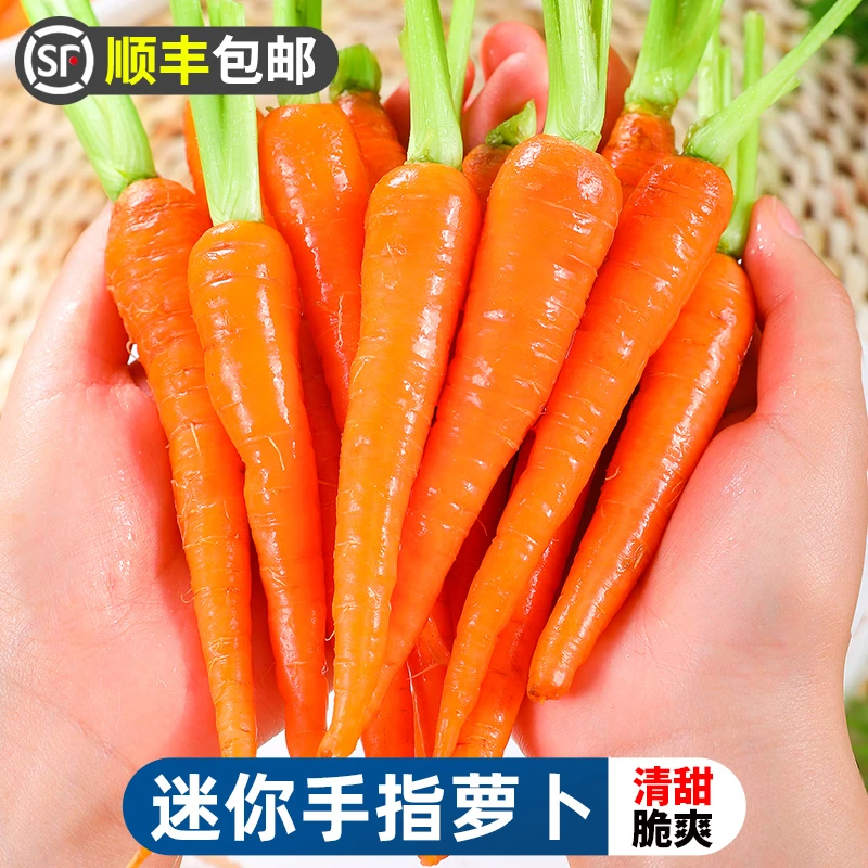 【顺丰包邮】迷你手指萝卜1-3斤水果萝卜即食沙拉食材甜脆健身蔬菜