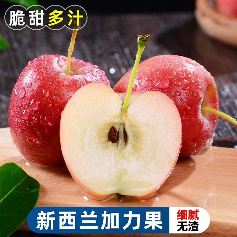 【脆甜多汁】新西兰加力果2-12个姬纳果红苹果嘎啦新鲜当季进口水果