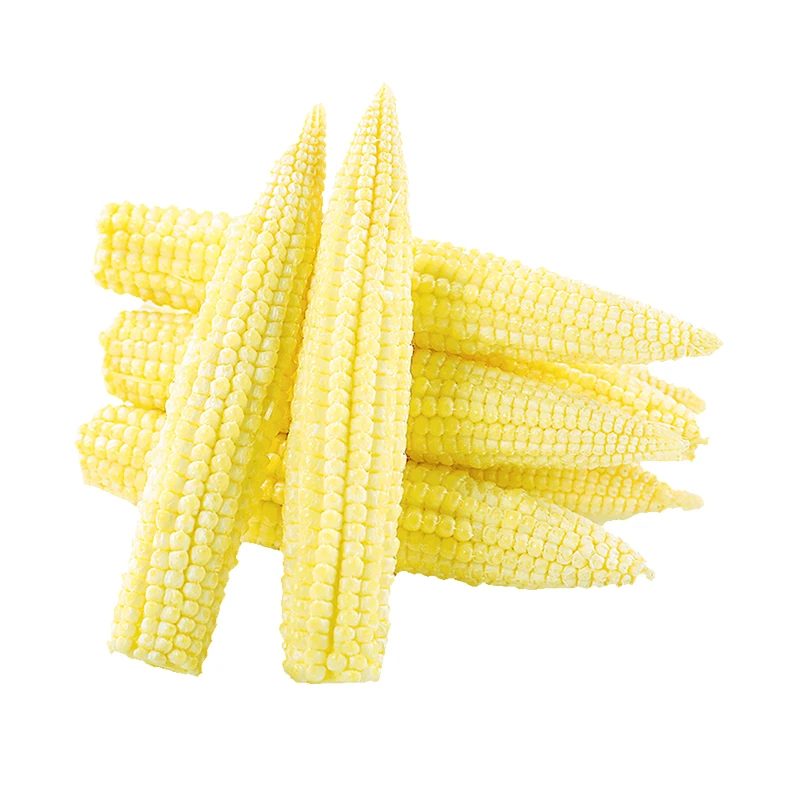 【顺丰包邮】新鲜甜玉米笋450g鲜嫩小玉米蔬菜迷你水果玉米小玉米笋
