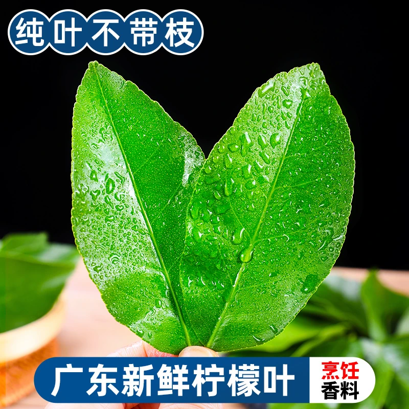 【烹饪香料】新鲜柠檬叶50-1000g青柠叶西餐料理冬阴功火锅配料鲜菜