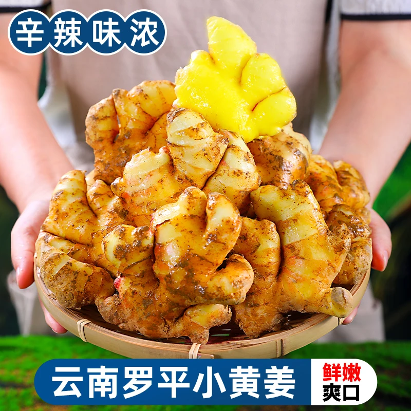 【脆嫩辛辣】正宗云南罗平小黄姜1-9斤生姜沙姜嫩姜鲜姜新鲜蔬菜