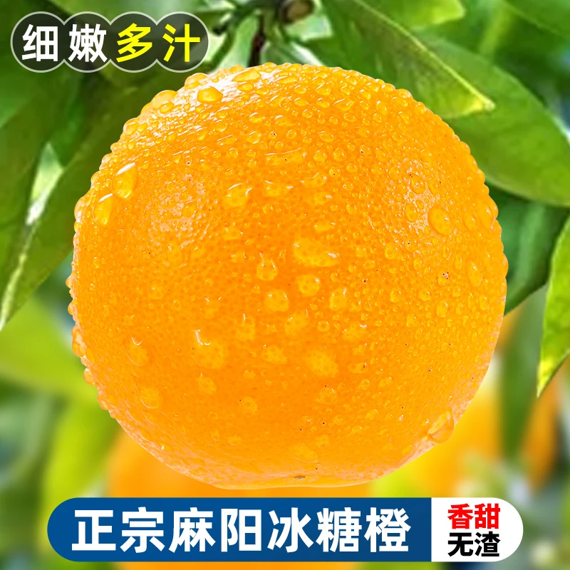 【香甜无渣】湖南麻阳冰糖橙3-9斤橙子果冻橙手剥橙应季水果柑橘