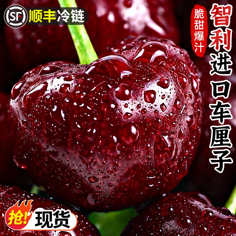【顺丰冷链】智利进口桑提娜Santina车厘子新鲜爆汁水果1-3斤 4JD