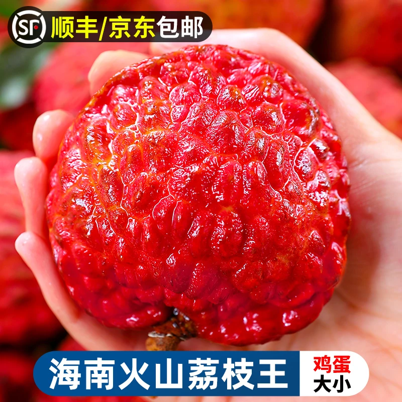 【顺丰/京东】海南荔枝王2-5斤新鲜水果当季大妃子火山口早熟荔枝