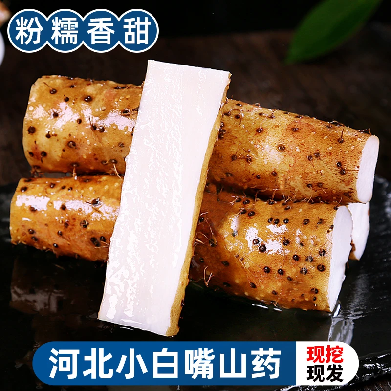 【香甜软糯】正宗小白嘴山药3/5斤新鲜现挖铁棍淮山药蔬菜白玉山药