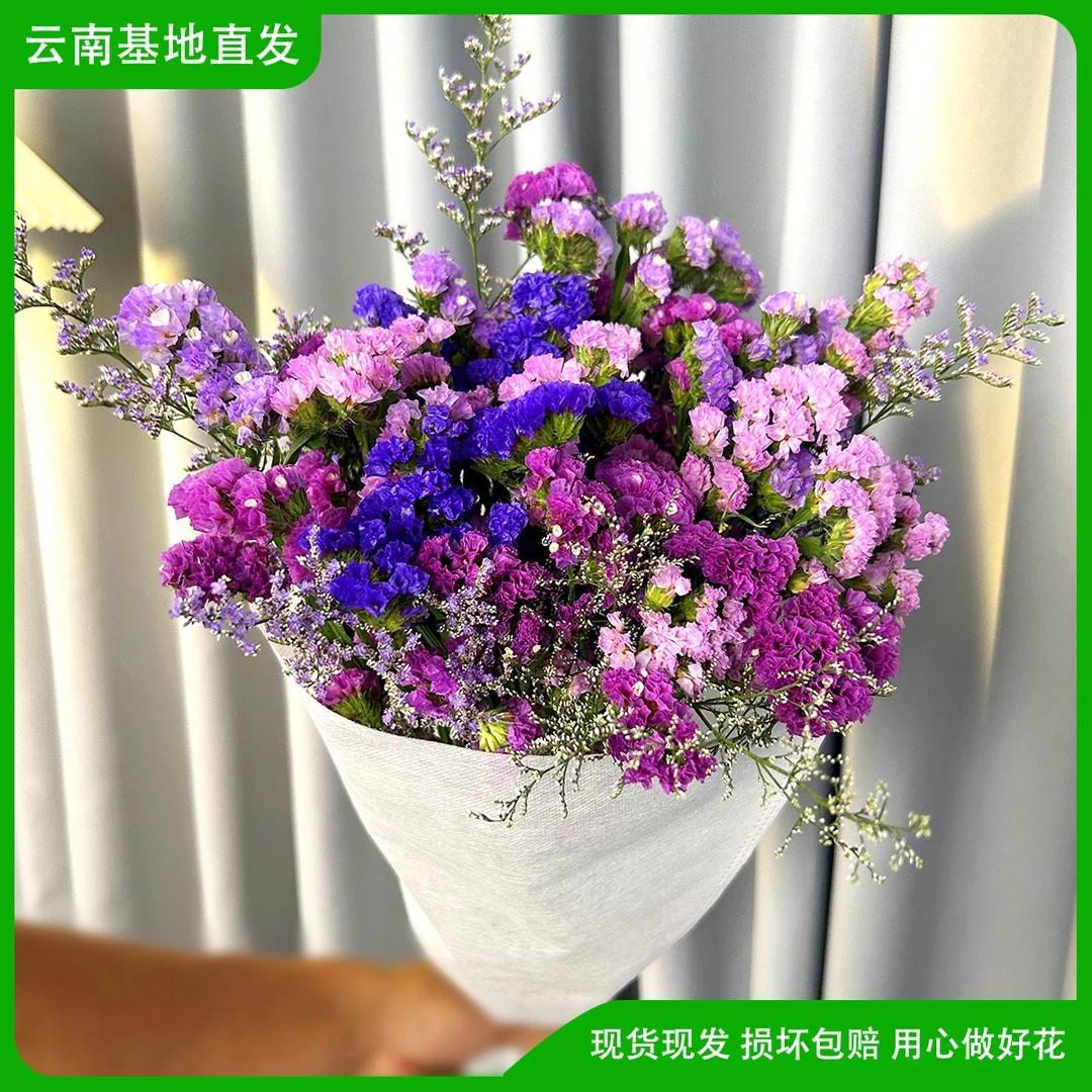 【浪漫七夕礼】勿忘我鲜花云南直发真花干花插花客厅摆件花束花卉