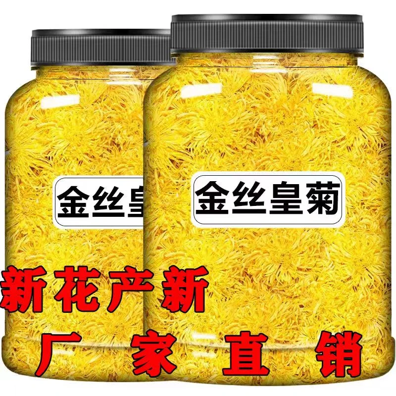 【一桶】菊花茶金丝黄菊新花头茬清香新鲜冲原饱满采摘冲泡手工