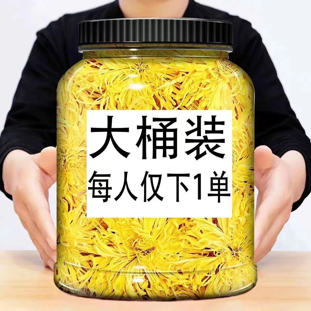 【 一大桶】约80朵菊花茶金丝黄菊新花头茬清香新鲜冲原产产品  