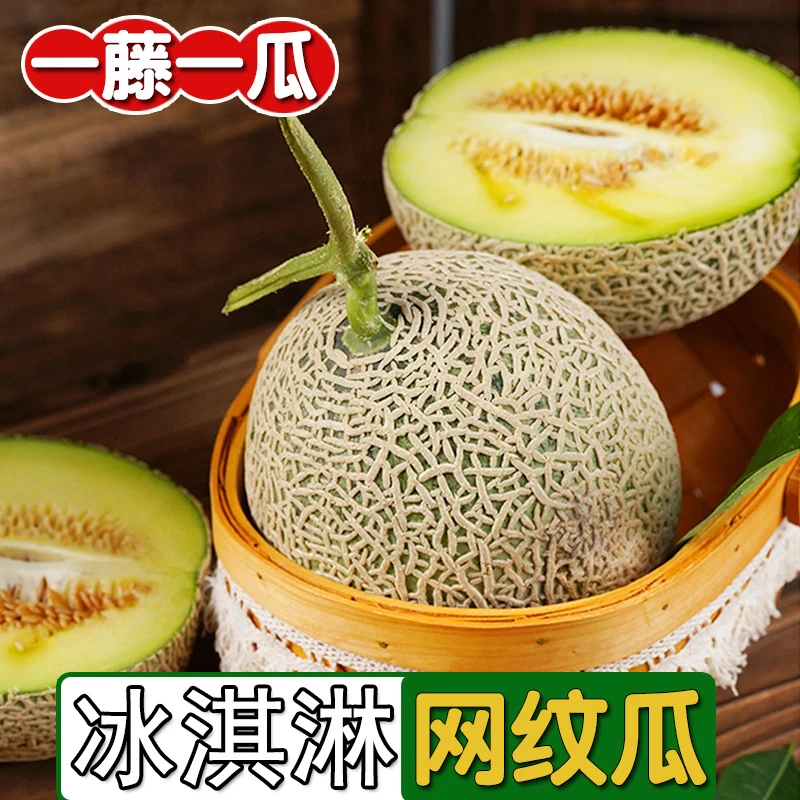 山东网纹瓜蜜瓜新鲜当季现摘产地直发孕妇宝宝果多汁香甜脆软水果