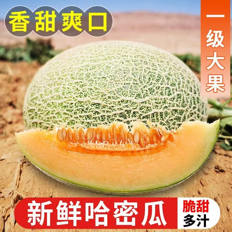 【2024新果】正宗民勤哈密瓜爆甜多汁皮薄肉厚西州蜜网纹瓜3/7/8斤