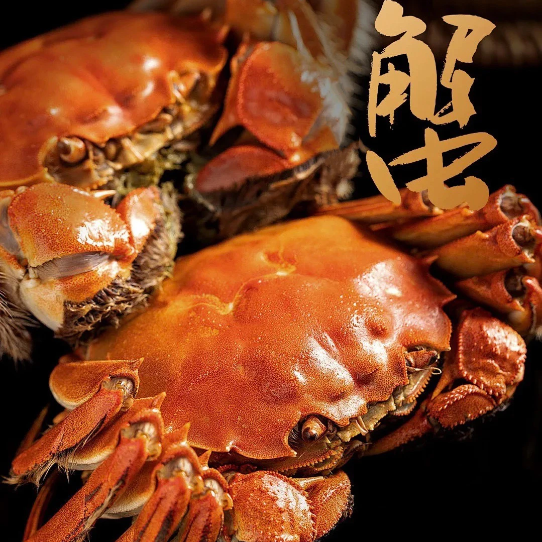 【活蟹】母蟹3.5两【肥黄】10只 精品长荡湖大湖蟹顺丰包邮 T10
