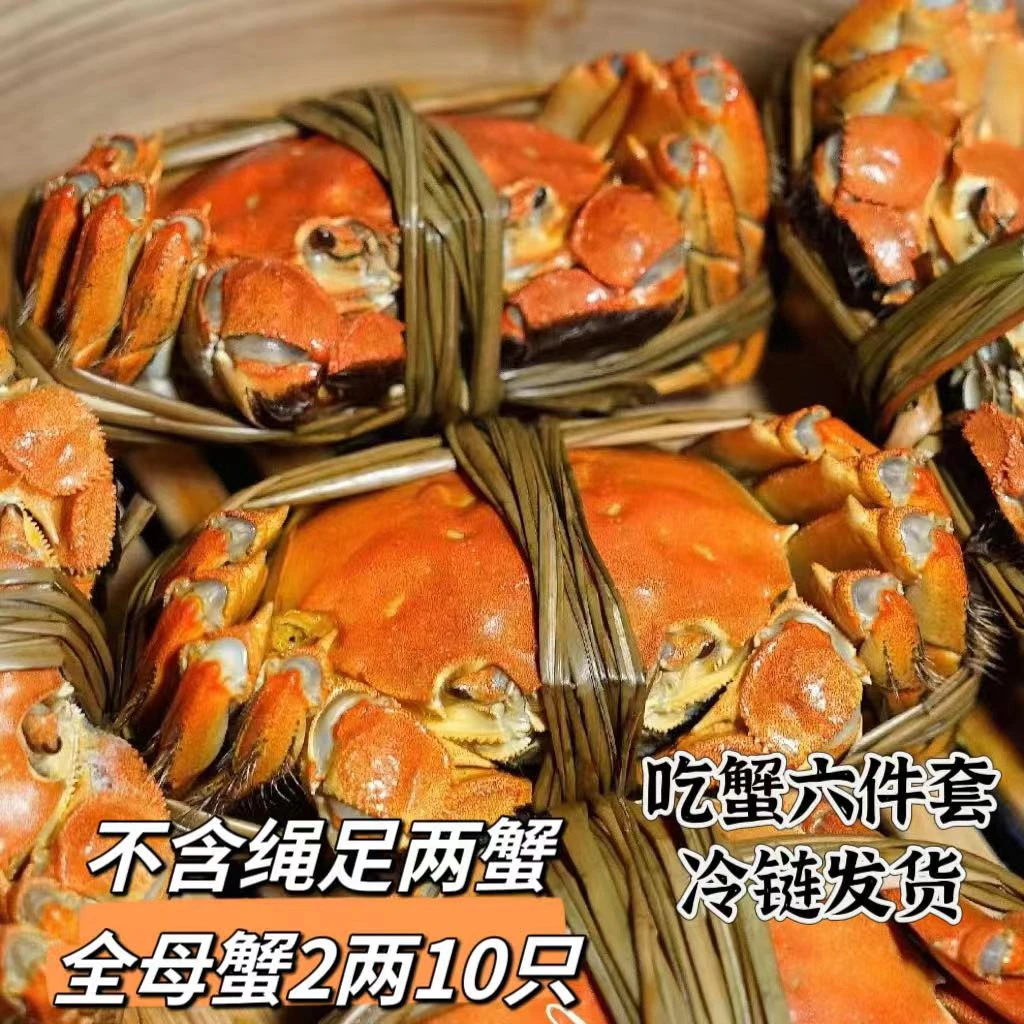 【活蟹现货】大闸蟹2两全母套餐8+2只高端礼盒高标精养