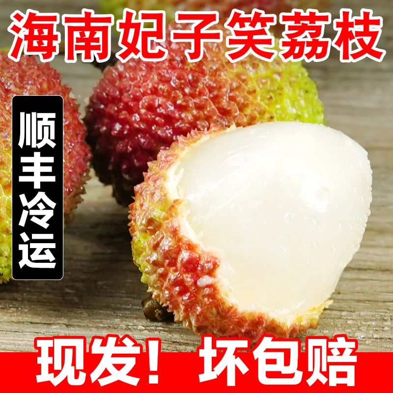 【海南妃子笑荔枝】新鲜现摘当季水果小核南山妃子笑荔枝顺丰3/5斤
