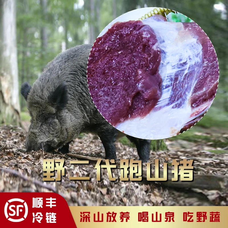 【里脊】二代跑山猪 原生态现宰现拍跑山猪里脊瘦肉真空包装