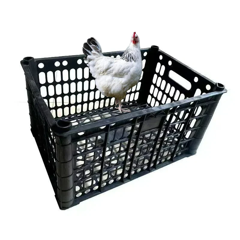 白芦花宠物笼子可装10只不挤