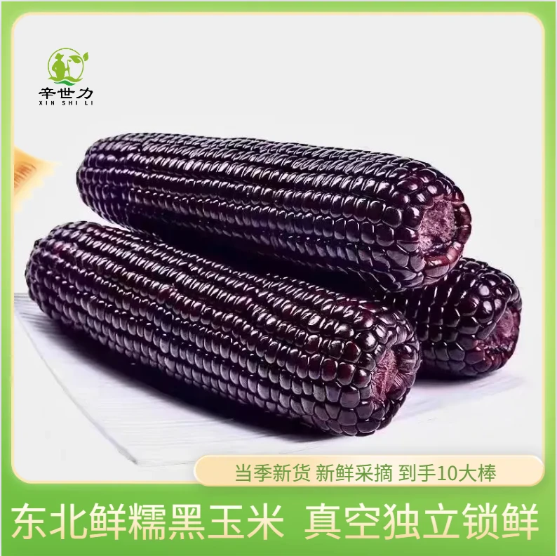 2024头茬黑土地黑糯玉米10根装 6斤一整箱 260-320g