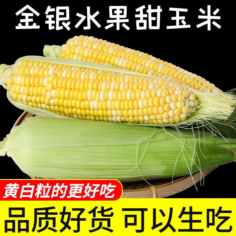 7根云南新鲜现摘金银水果甜玉米水果玉米甜脆带叶子