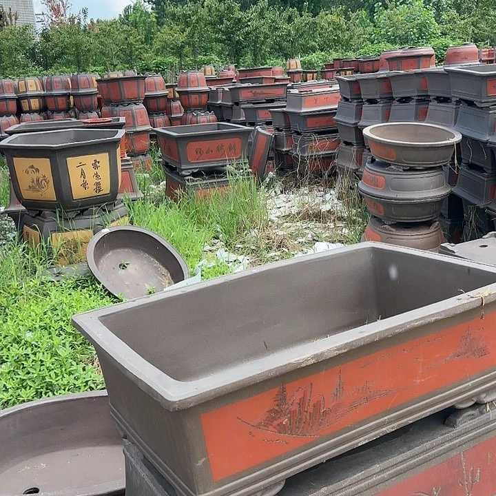 红陶20CM（含）-50CM（不含）