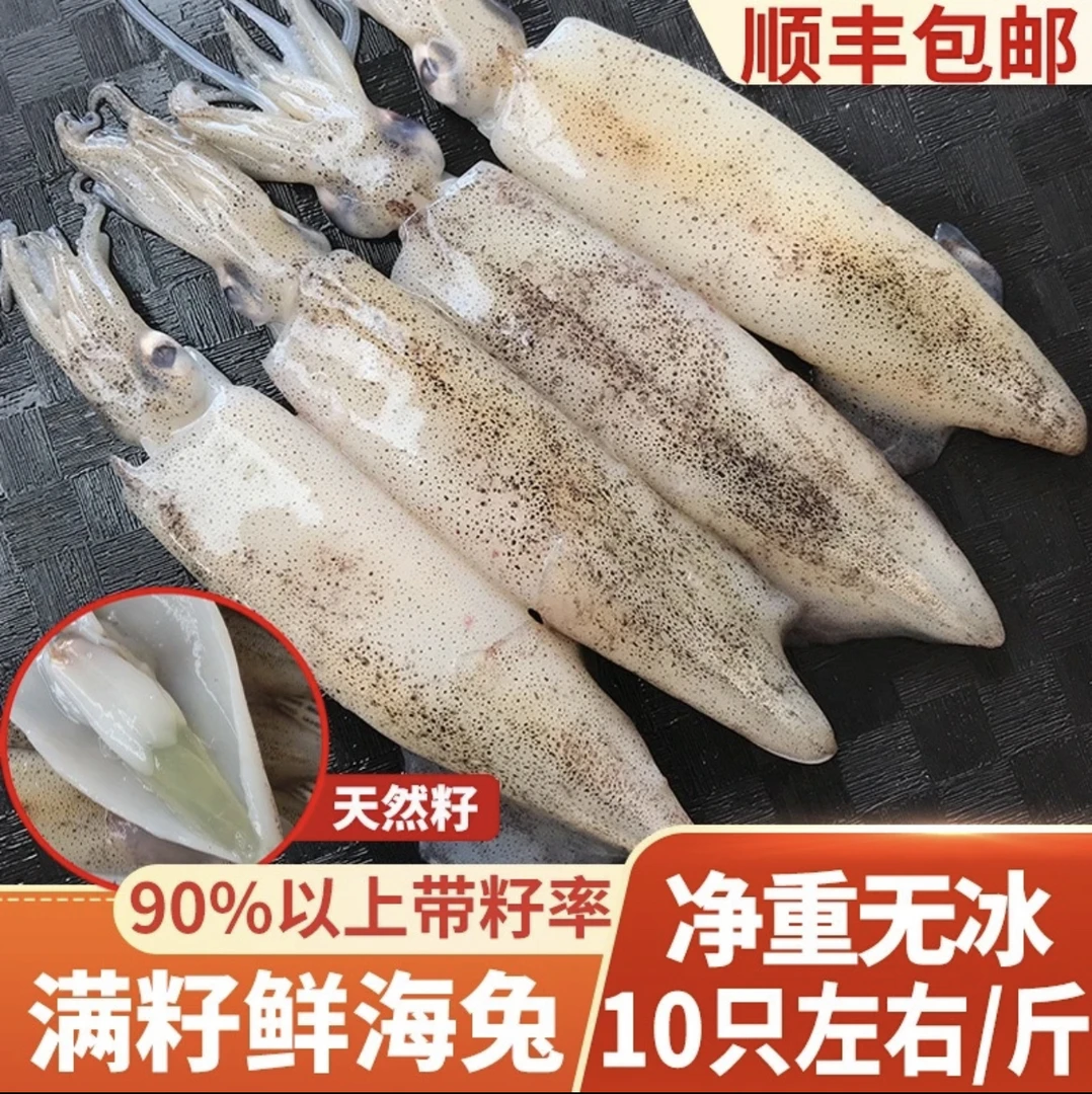 全母鲜海兔 笔管 籽乌 活体单冻 带籽带膏500g/包顺丰 连云港发货