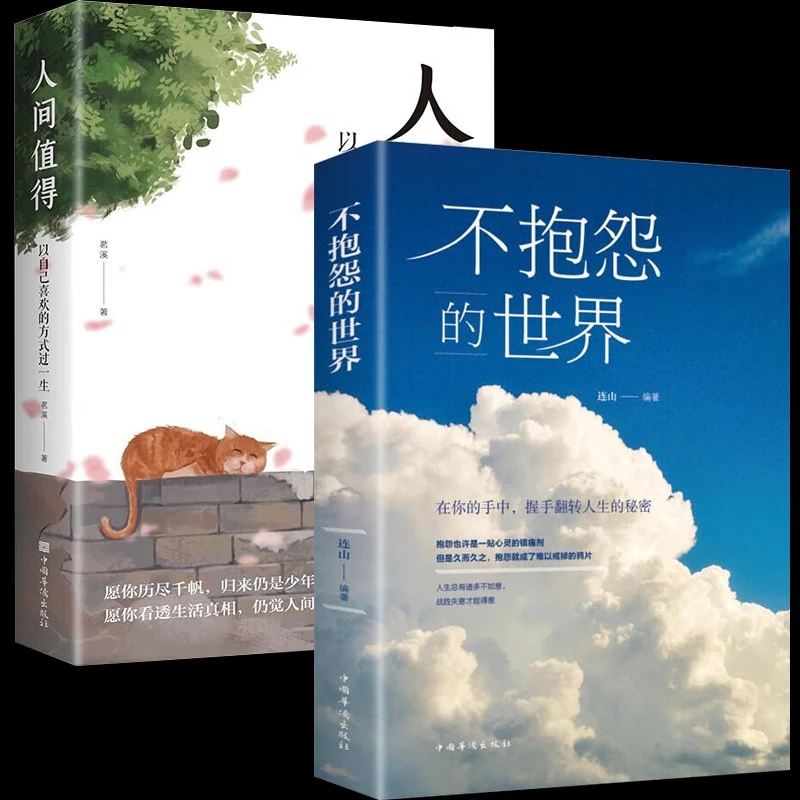 不抱怨的世界正版人间值得正能量书籍文学成功励志自我心态调节书