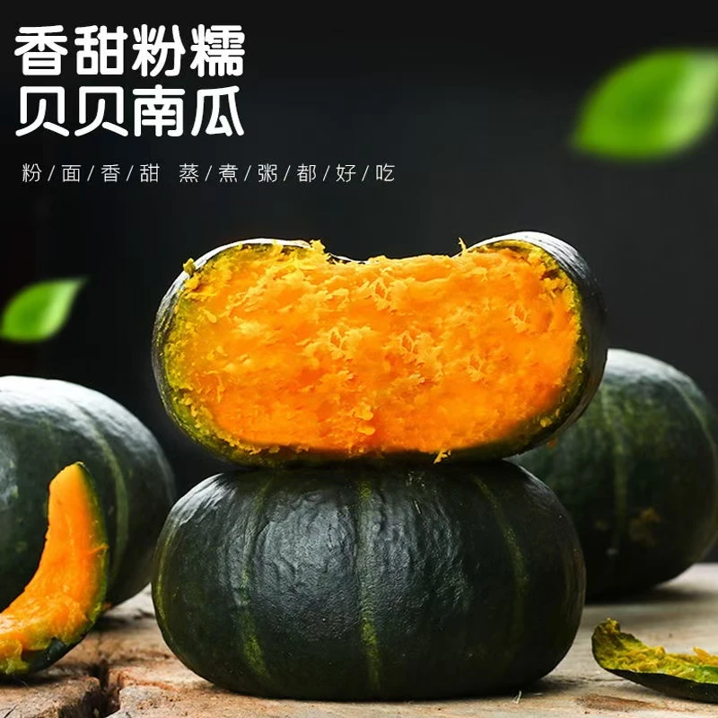 带箱4-5斤正宗真贝贝南瓜板栗味瓜婴儿辅食南瓜粉糯香甜