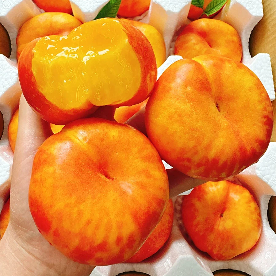 【好吃的蟠桃】蟠桃（份/净重约4斤）