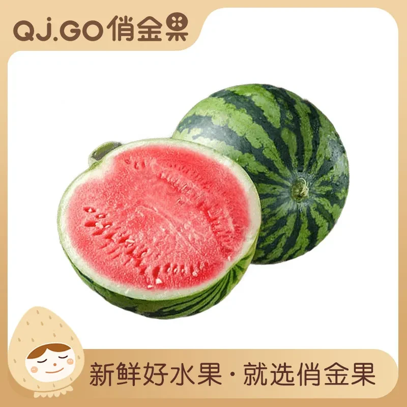 【清凉一夏】A级-麒麟西瓜约9-11斤（整颗）如需切开请备注