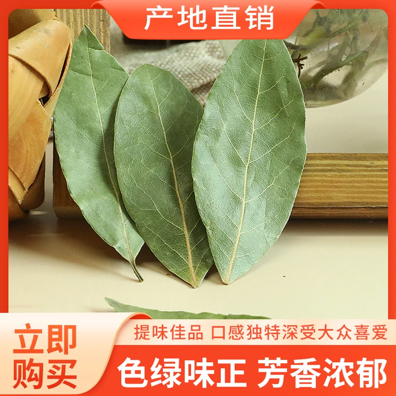 广西香叶无硫自然晒干家用厨房香料调味品卤料炖肉增香月桂叶新货
