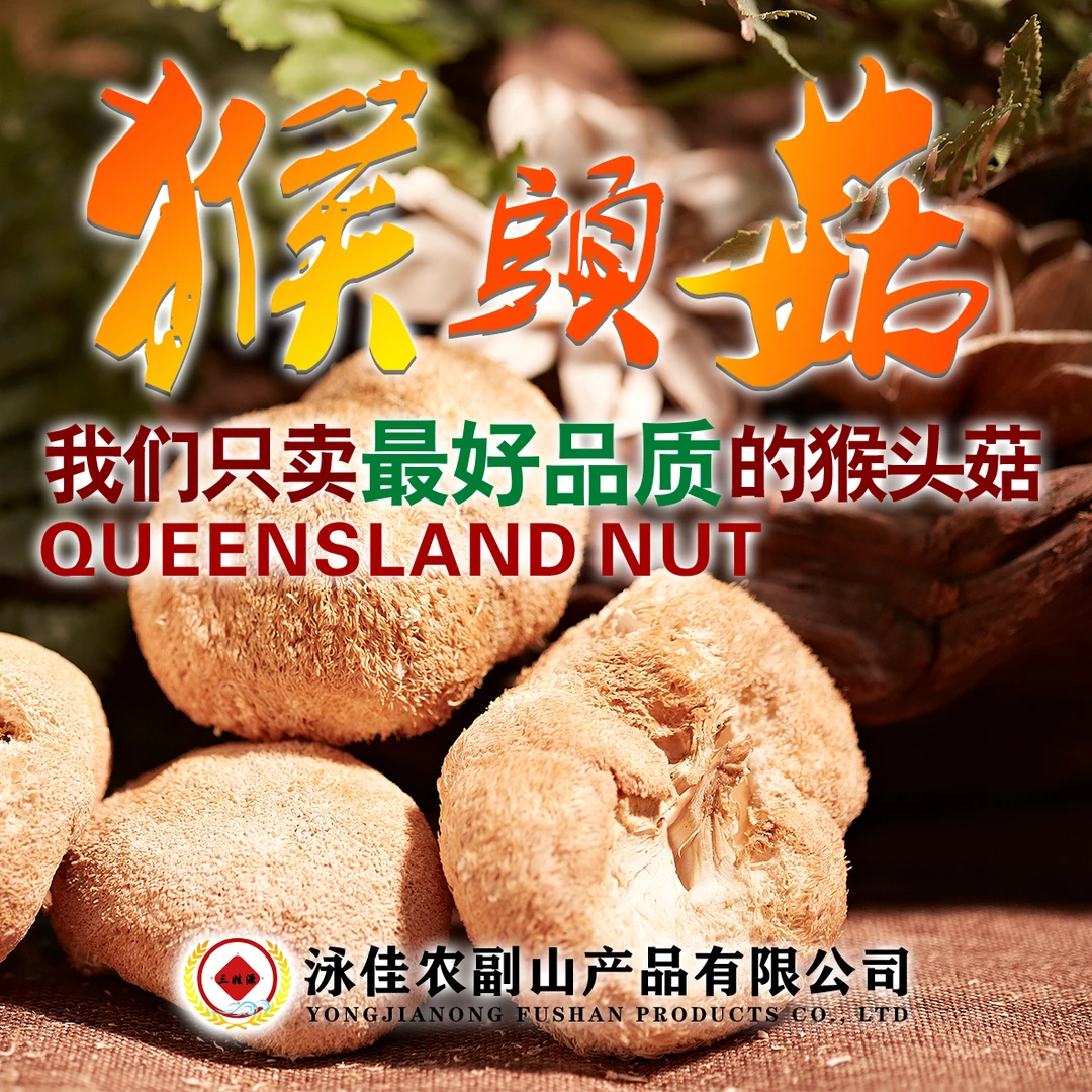 东北野生猴头菇全国包邮滋补营养食用天然产品袋装新鲜