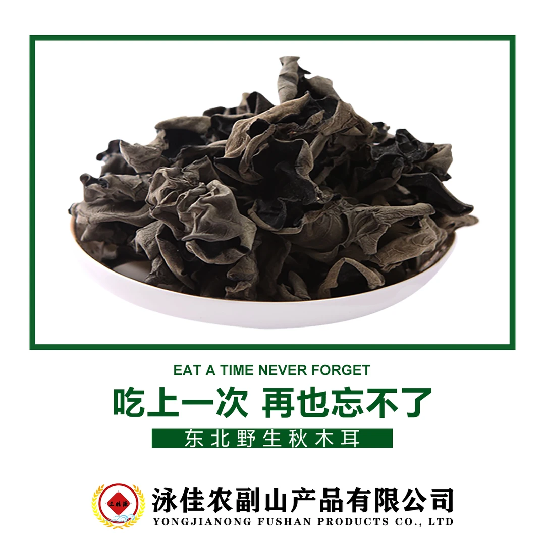 东北黑木耳秋耳碗耳全国包邮肉厚健康厚实生长采摘精品肉质