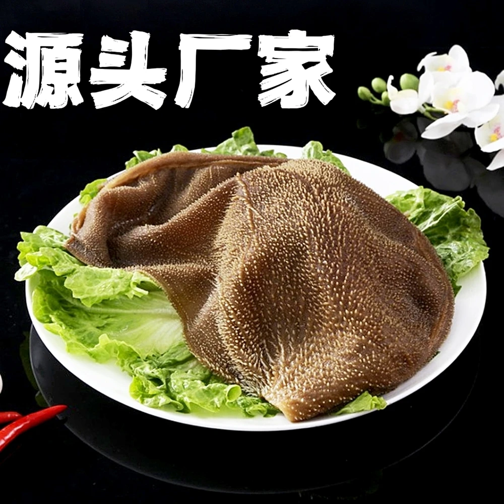 【商用净重24斤】3斤/袋手撕毛肚大叶片水煮牛肚川渝老火锅食材