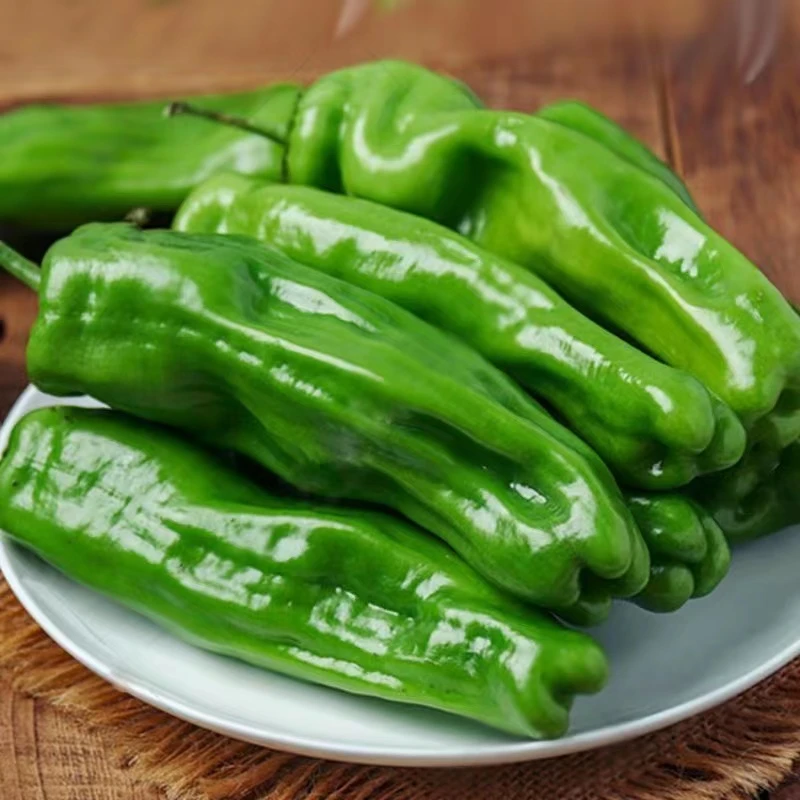 5斤微辣现摘301虎皮菜椒河南原产地农家自种辣椒当季新鲜青椒整箱