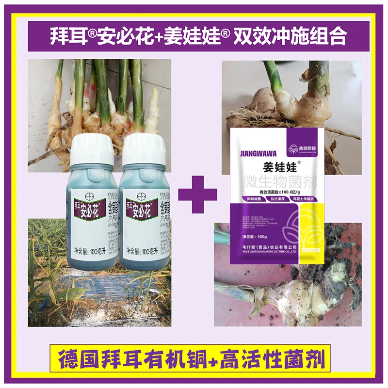 安必花有机铜+姜娃娃包膜生防菌冲施组合 长效防治微生物菌