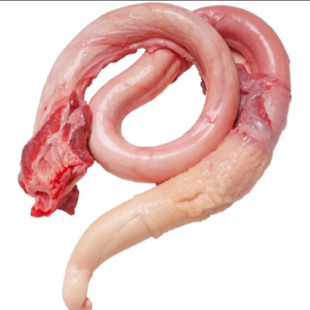 牛鞭一根(冻的)（约2斤）