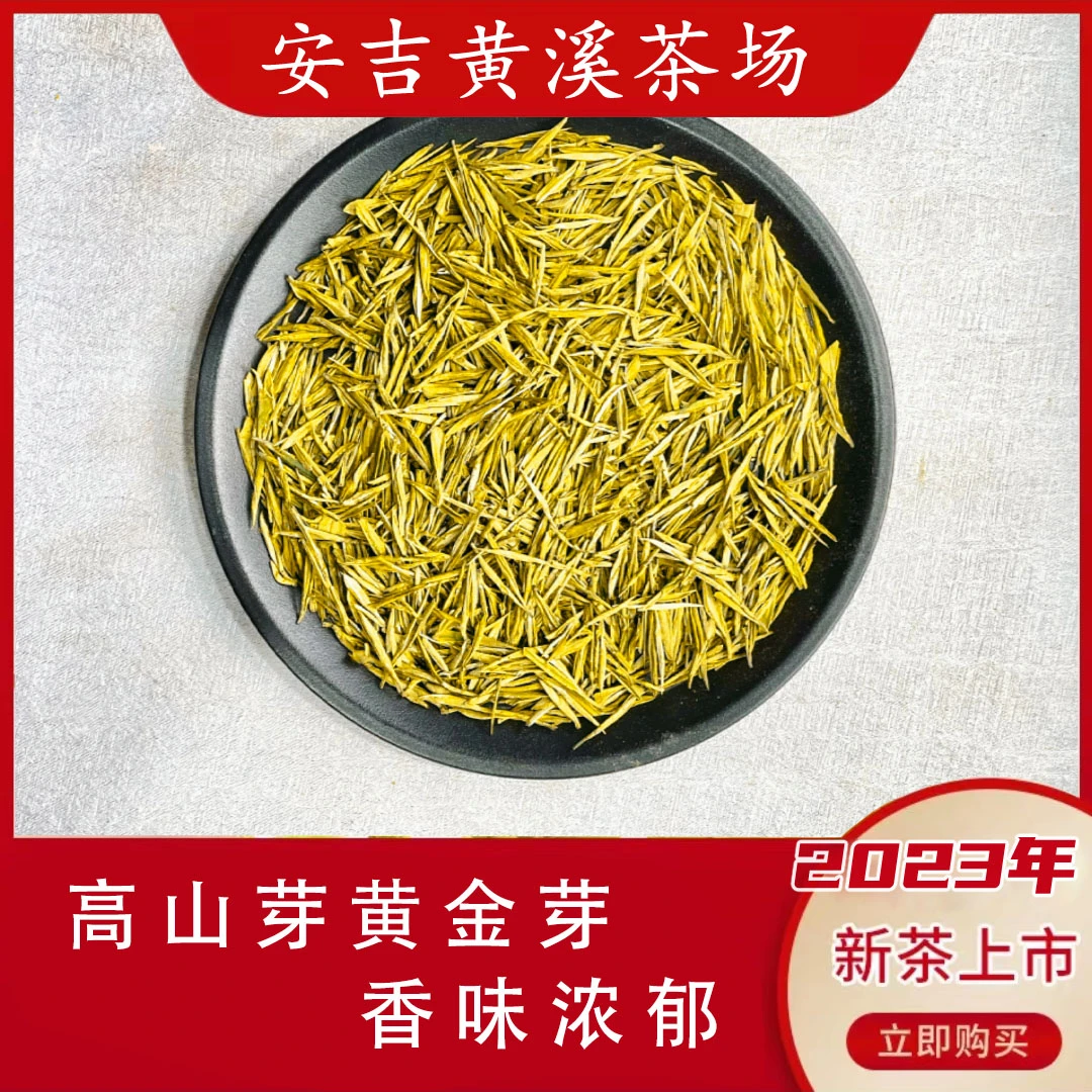 2023 米芽黄金叶 H558 安吉罐装发货
