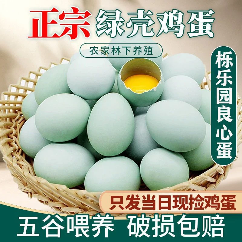 正宗绿壳鸡蛋乌鸡蛋林间散养普通好吃破损包赔新鲜土鸡蛋营养农场