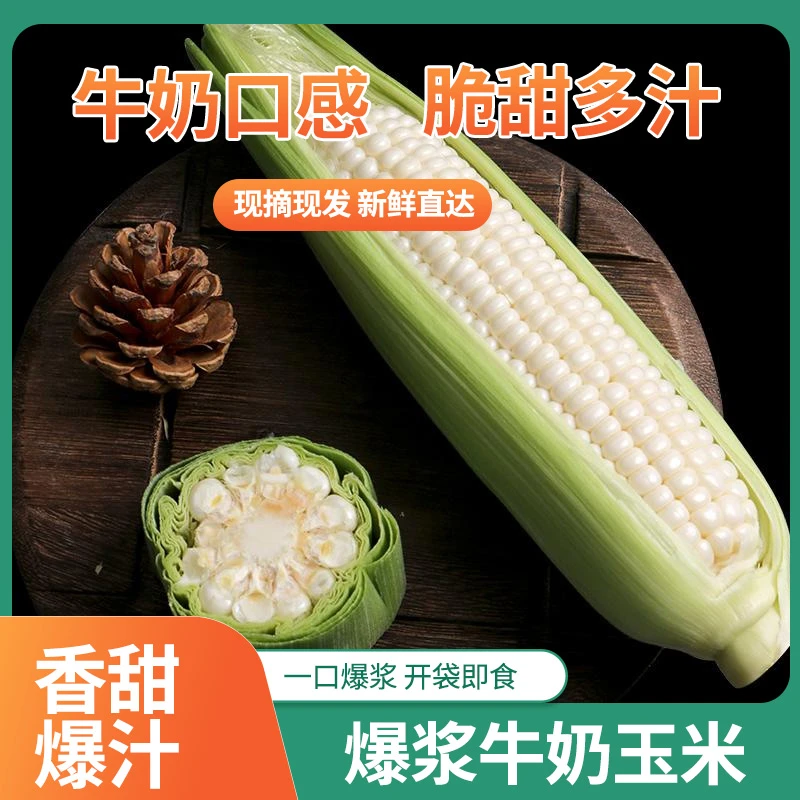 爆浆冰糖牛奶玉米(3斤装)当季现摘开袋即食种植好吃基地鲜嫩新鲜