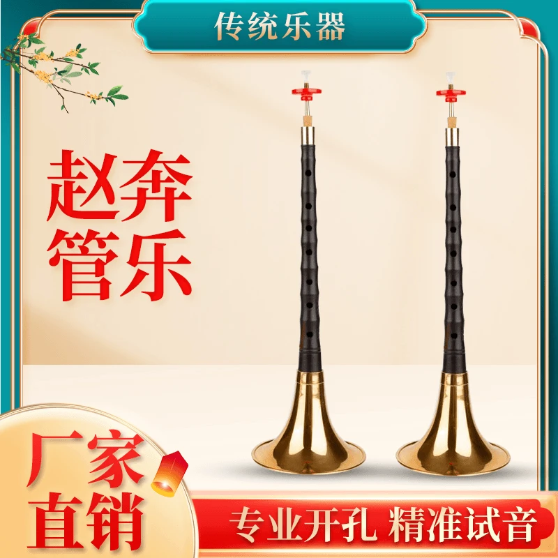 赵奔精品紫光檀木品质D调唢呐有教入门专业级演奏专业唢呐乐器