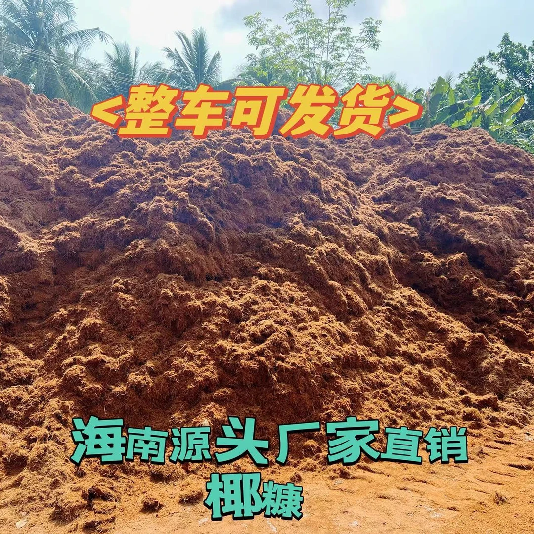 椰糠免泡发竹虫养花种菜寄居蟹绿植纯天然适用种菜种花种菜营养土