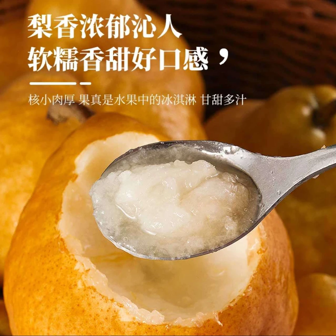 [即食款]冰激凌口感中华丑梨多汁山东烟台新鲜软糯