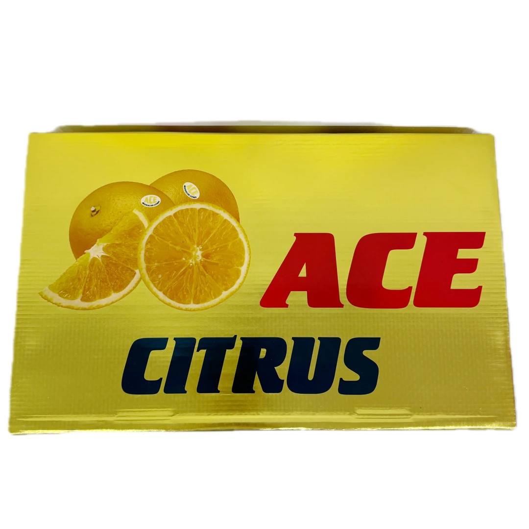 ACE进口甜橙(8.5斤以上)