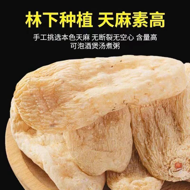 【昭通小草坝乌天麻】特级精选天麻正宗林下仿野生种植直播打粉煲汤