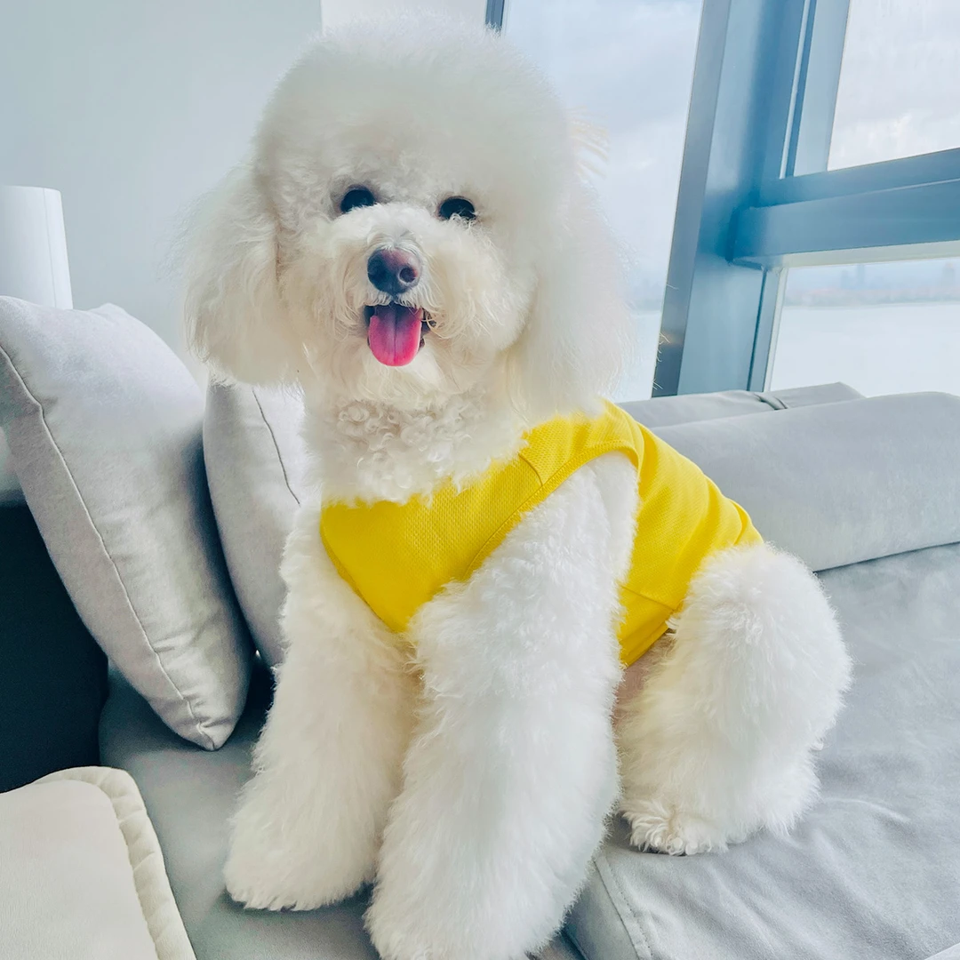 大狗衣服 夏季薄款背心金毛萨摩中大型犬宠物服装