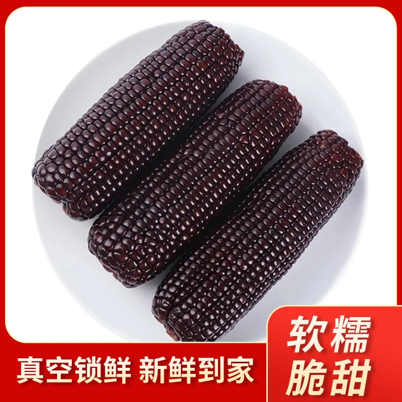 2025年头茬新黑甜糯玉米脆糯香甜8根