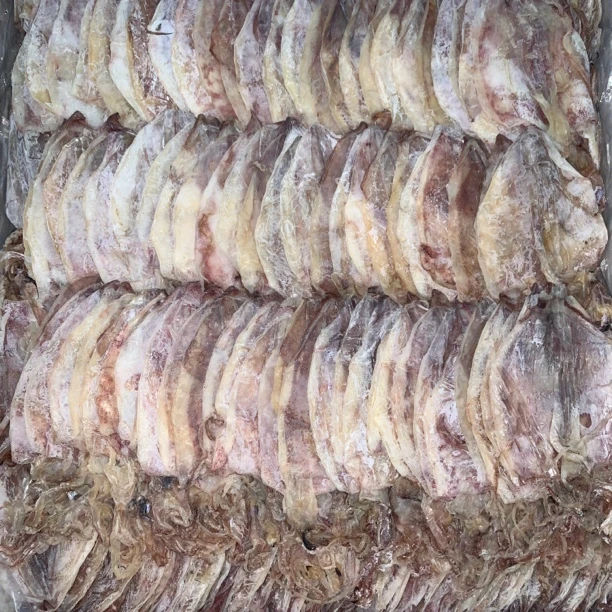 鱿鱼干 鱿鱼片 汕尾本港海产 自晒 推荐炭烤 烧烤 爆炒