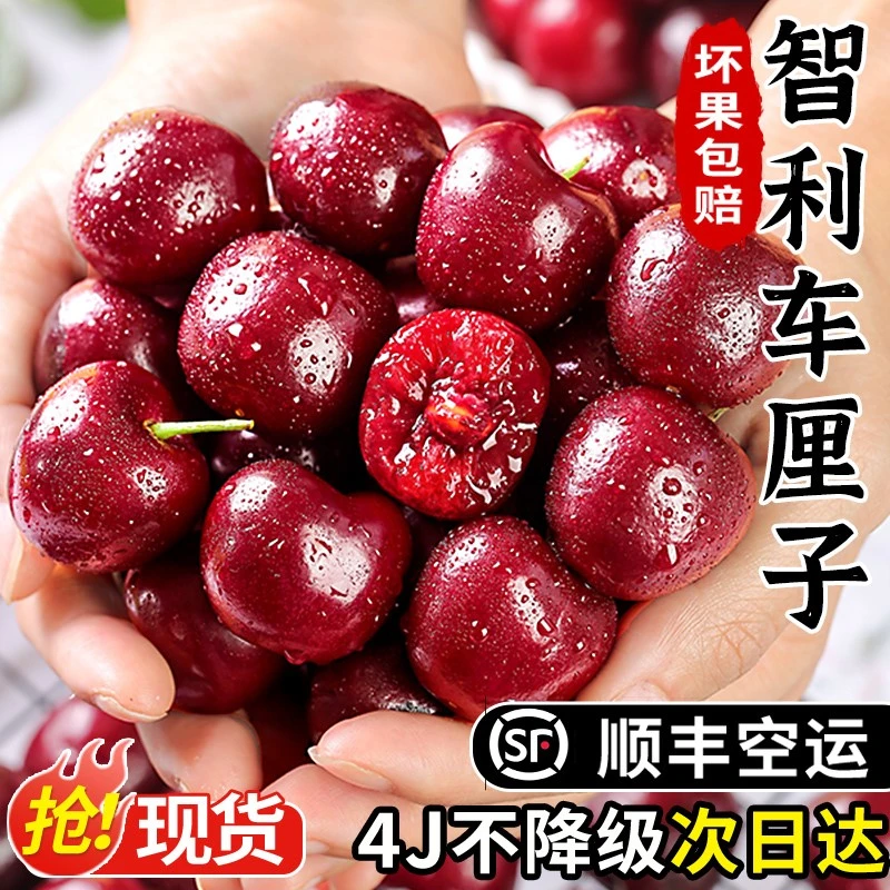 顺丰包邮智利进口车厘子桑提娜5斤新鲜水果应当季2斤大樱桃整箱